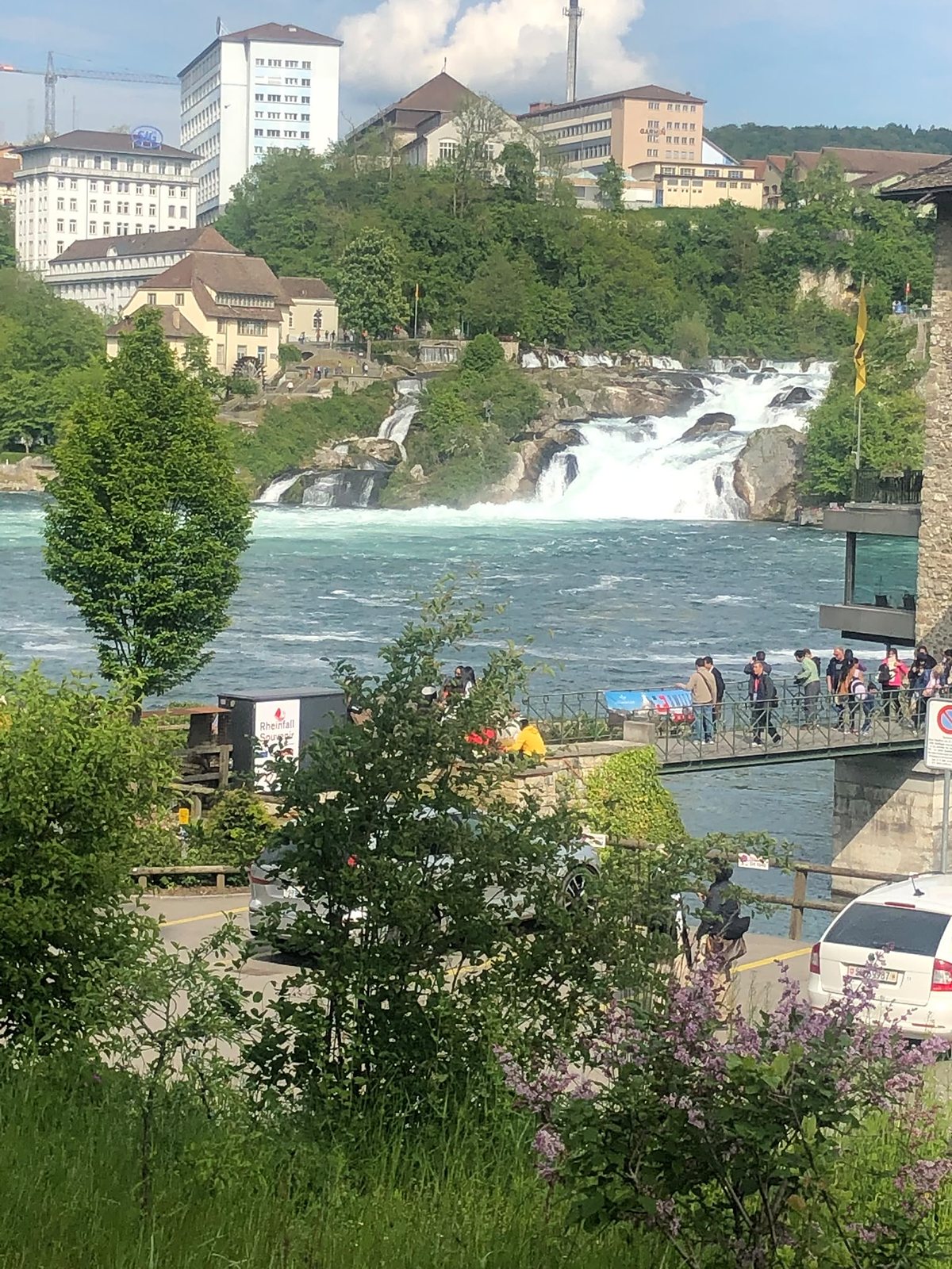 Les chutes du Rhin